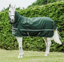 Load image into Gallery viewer, Cavallino Burghley 300g