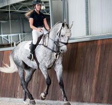 Load image into Gallery viewer, Lumiere 'ANTIQUA' BREASTPLATE - BLACK & BROWN