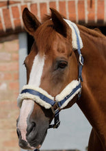 Load image into Gallery viewer, Premier Equine Techno Wool Lined Head Collar