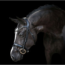 Load image into Gallery viewer, Lumiere 'AUDREY' LEATHER BRIDLE (HANOVERIAN)