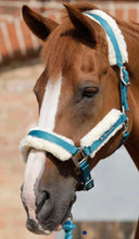 Load image into Gallery viewer, Premier Equine Techno Wool Lined Head Collar