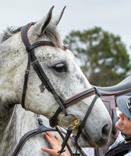 Load image into Gallery viewer, Lumiere 'AMOUR' LEATHER BRIDLE (CONVERTIBLE) - BROWN