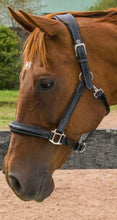 Load image into Gallery viewer, Henri de Rival Stress Free Leather Halter