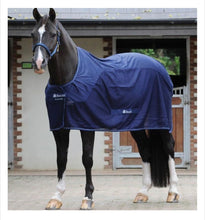 Load image into Gallery viewer, Bucas Cooler Rug