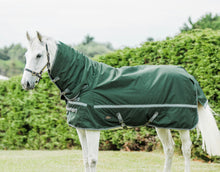 Load image into Gallery viewer, Cavallino Burghley 300g