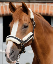 Load image into Gallery viewer, Premier Equine Techno Wool Lined Head Collar