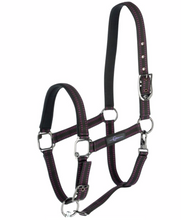Load image into Gallery viewer, GoLeyGo Horse Halter
