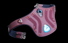 Load image into Gallery viewer, eQuick Ediamond Stud Guard Girth