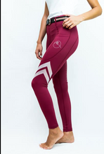 Load image into Gallery viewer, PerformaRide Flexion Riding Tights