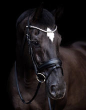 Load image into Gallery viewer, Stubben Magic Tack Switch Bridle