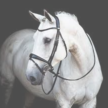 Load image into Gallery viewer, Stubben Magic Tack Switch Bridle