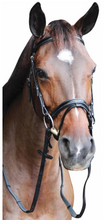 Load image into Gallery viewer, Henri de Rivel PRO Piaffe Mono Crown Bridle with Patent Leather