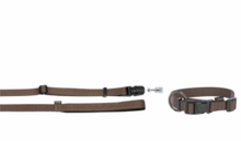 Load image into Gallery viewer, GoLeyGo Dog Leash and collar