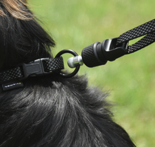 Load image into Gallery viewer, GoLeyGo Dog Leash and collar