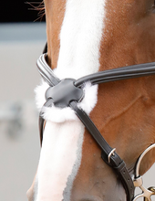 Load image into Gallery viewer, Glorioso Grackle Bridle