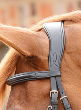 Load image into Gallery viewer, Glorioso Grackle Bridle