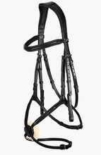 Load image into Gallery viewer, Glorioso Grackle Bridle