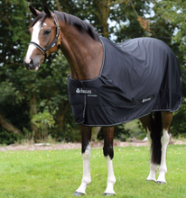 Load image into Gallery viewer, Bucas Cooler Power Black