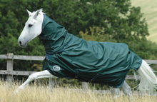 Load image into Gallery viewer, Bucas Rug GreenLine Turnout 100g