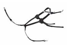 Load image into Gallery viewer, Platinum 5 Point Breastplate