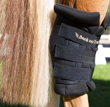 Load image into Gallery viewer, Hock Boots Royal