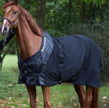 Load image into Gallery viewer, Back on Track Mesh Rug