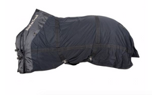 Load image into Gallery viewer, Back on Track Mesh Rug