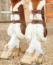 Load image into Gallery viewer, Premier Equine Techno Wool Tendon Boots