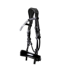 Load image into Gallery viewer, Lumiere 'AMIE' ROLLED BRIDLE (CAVESSON) - BLACK