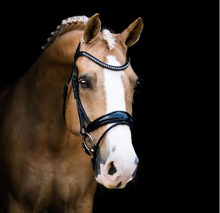 Load image into Gallery viewer, Lumiere Aurelie Rolled Leather Bridle Hanoverian