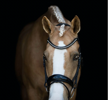 Load image into Gallery viewer, Lumiere Aurelie Rolled Leather Bridle Hanoverian