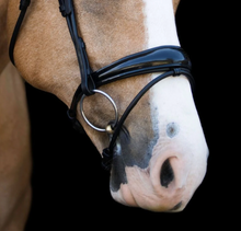 Load image into Gallery viewer, Lumiere Aurelie Rolled Leather Bridle Hanoverian