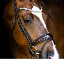 Load image into Gallery viewer, Lumiere Amie Rolled Leather Hanoverian Bridle