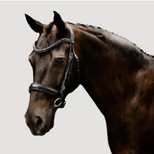 Load image into Gallery viewer, Lumiere Arcadia Luxury Leather Bridle (Cavesson)
