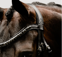 Load image into Gallery viewer, Lumiere Arcadia Luxury Leather Bridle (Cavesson)