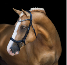 Load image into Gallery viewer, Lumiere Mila Anatomic Leather Bridle