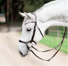 Load image into Gallery viewer, Lumiere Mila Anatomic Leather Bridle