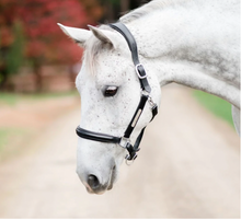 Load image into Gallery viewer, Lumiere Alize Leather Halter