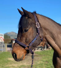 Load image into Gallery viewer, GoLeyGo Horse Halter
