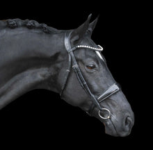 Load image into Gallery viewer, Lumiere &#39;ALISON&#39; BRIDLE - BLACK
