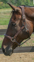 Load image into Gallery viewer, Henri de Rival Stress Free Leather Halter
