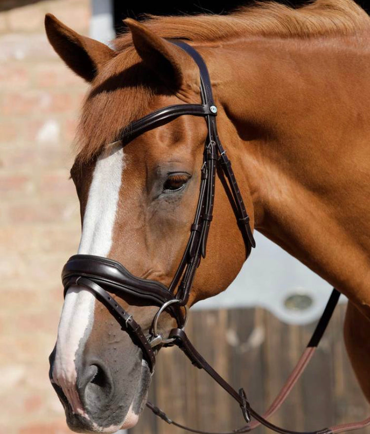Premier Equine Rizzo Snaffle Bridle