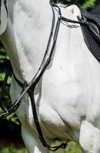 Load image into Gallery viewer, Cavallino Martingale 3 point Breastplate
