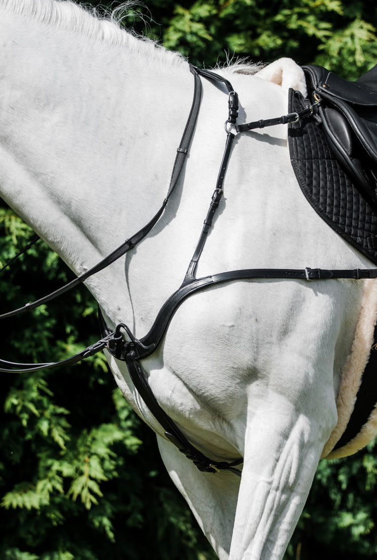 Covalliero 5 point BreastPlate