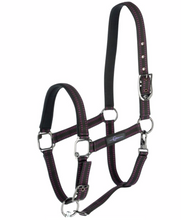 Load image into Gallery viewer, GoLeyGo Horse Halter
