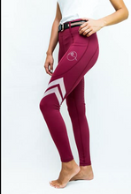Load image into Gallery viewer, PerformaRide Flexion Riding Tights
