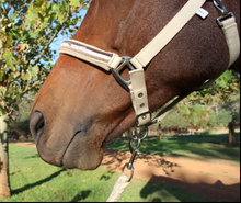 Load image into Gallery viewer, Kentaur Fleece Halter
