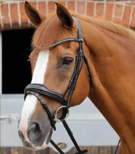 Load image into Gallery viewer, Stellazio Anatomic Snaffle Bridle with flash
