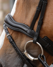 Load image into Gallery viewer, Stellazio Anatomic Snaffle Bridle with flash

