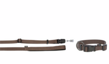 Load image into Gallery viewer, GoLeyGo Dog Leash and collar
